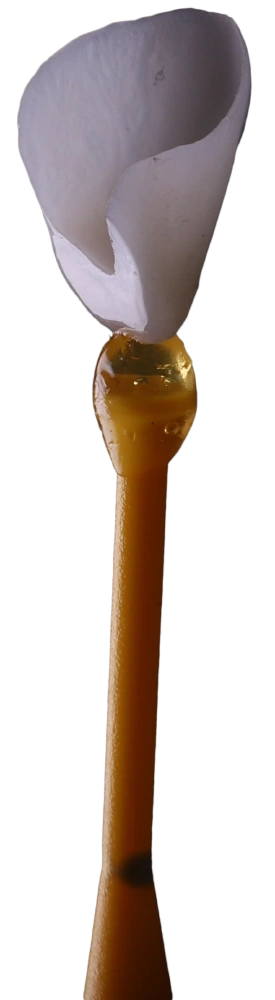 Decorative background